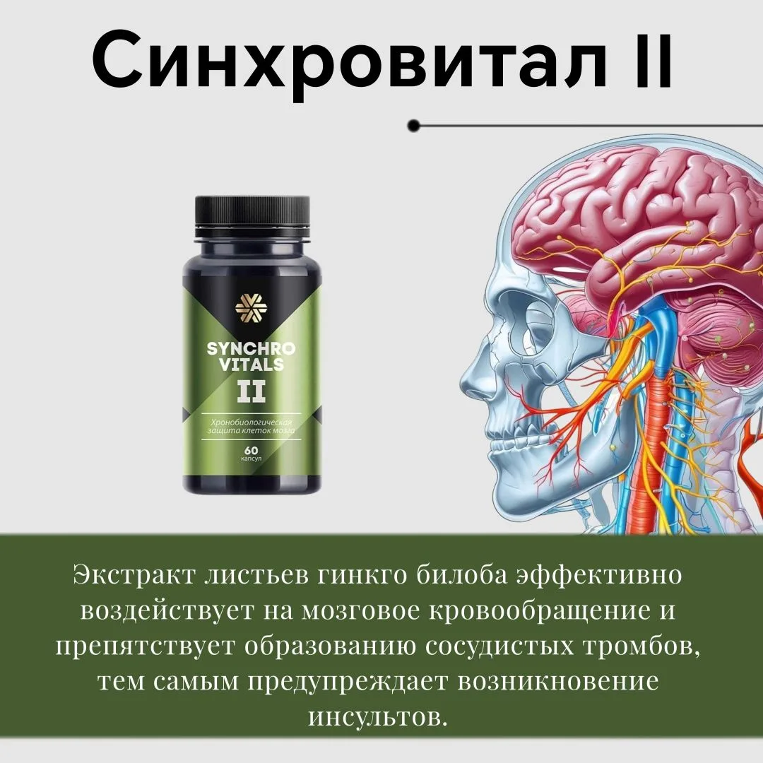 💊 Синхровитал ll