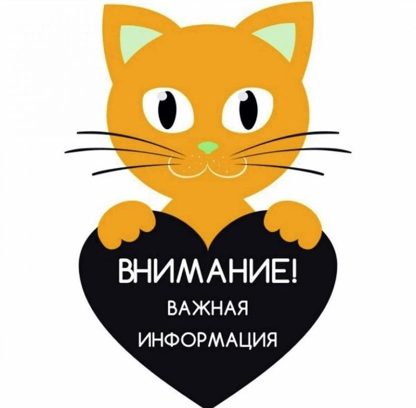 Дорогие учащиеся и родители! Совсем скоро начало учебного года, и мы ждем традиционной ...