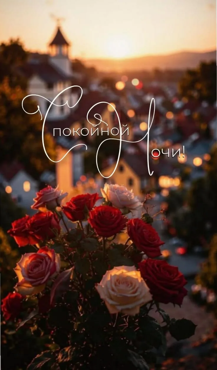 🌛 Доброй ночи!
