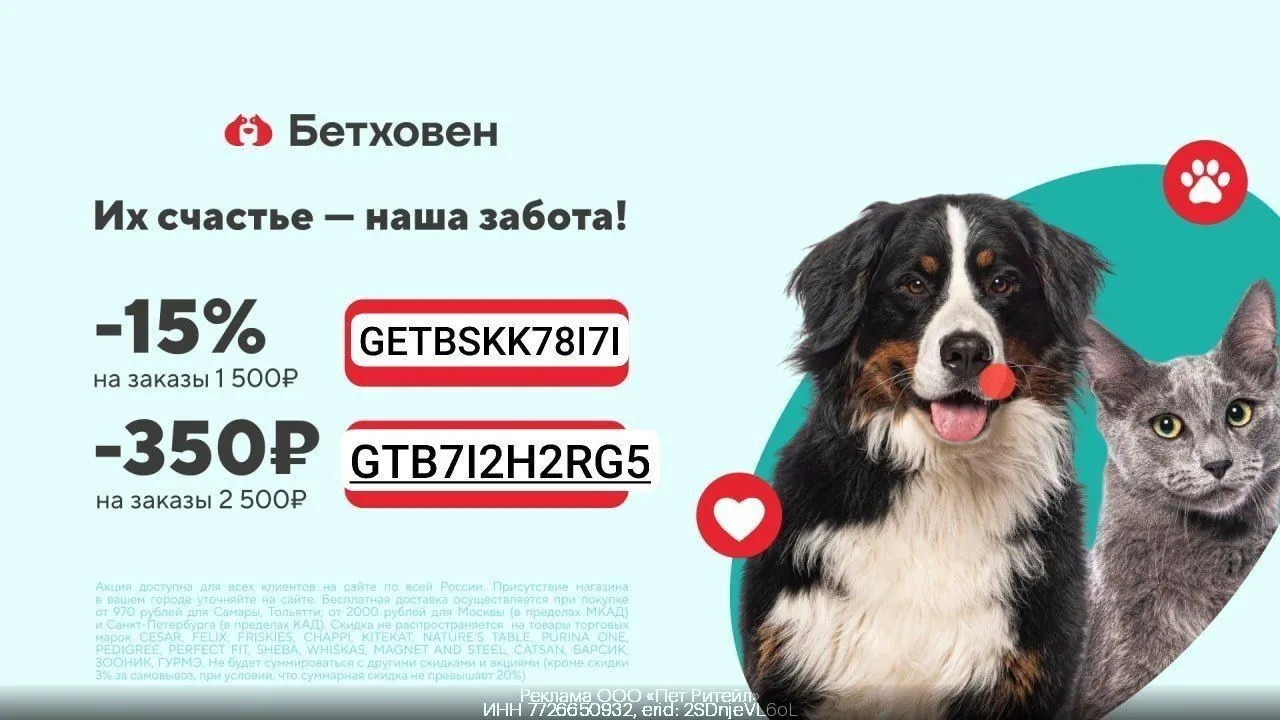 🐈‍⬛ Скидки в Бетховен! 🐕
🤍 GETBSKK78I7I — Скидка 15% на все при заказе от 1500₽
🤍 GTB7I2H2RG5 — 