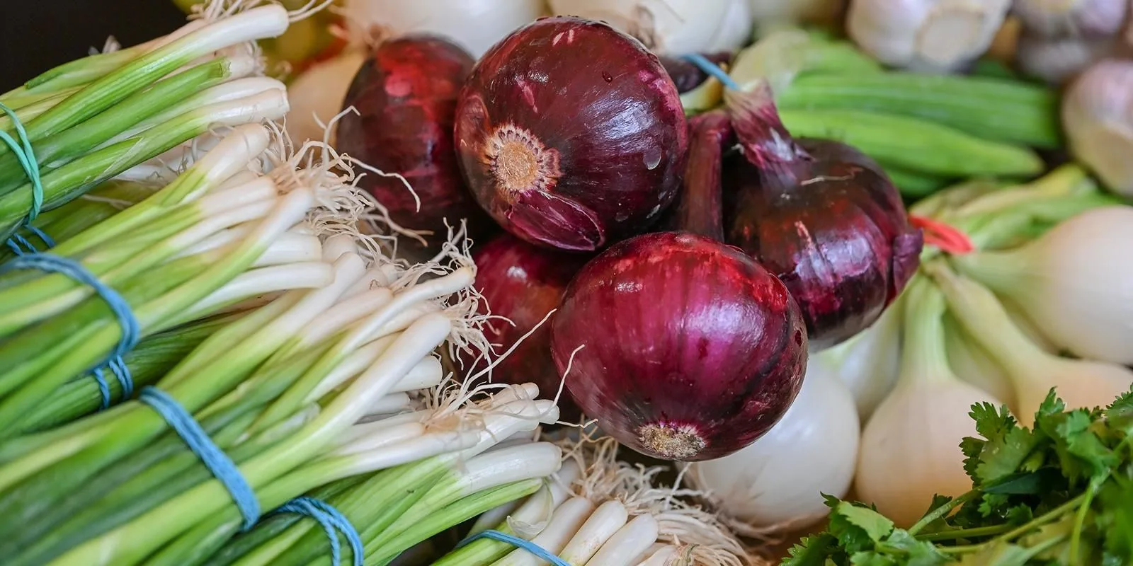 ❤ На московских ярмарках лук нового урожая различается не только по вкусу – от жгучего ...