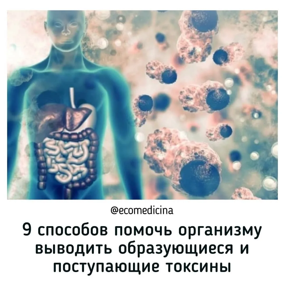 ☀ДЕВЯТЬ СПОСОБОВ ОЧИСТИТЬ ОРГАНИЗМ