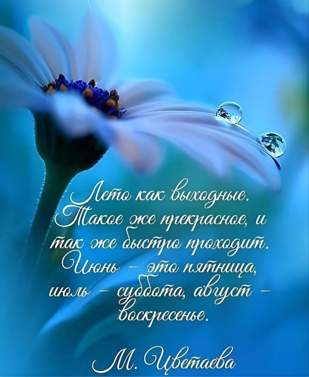 Настроение 💖

💌 Открытки в МАХ – Подписаться