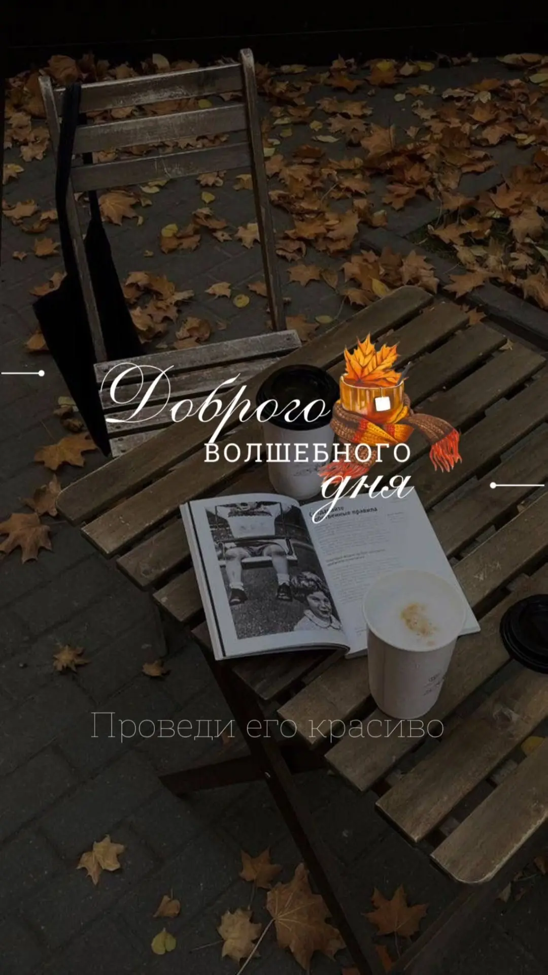 #Добрыйдень #Доброгодня #Хорошегодня  #Чудесногодня #Хорошегонастроения #Открытки