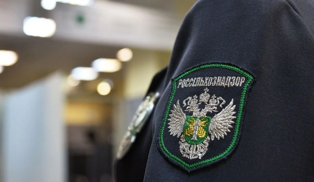 Производитель «Мультикана-8» высказался по поводу возбуждённого уголовного дела