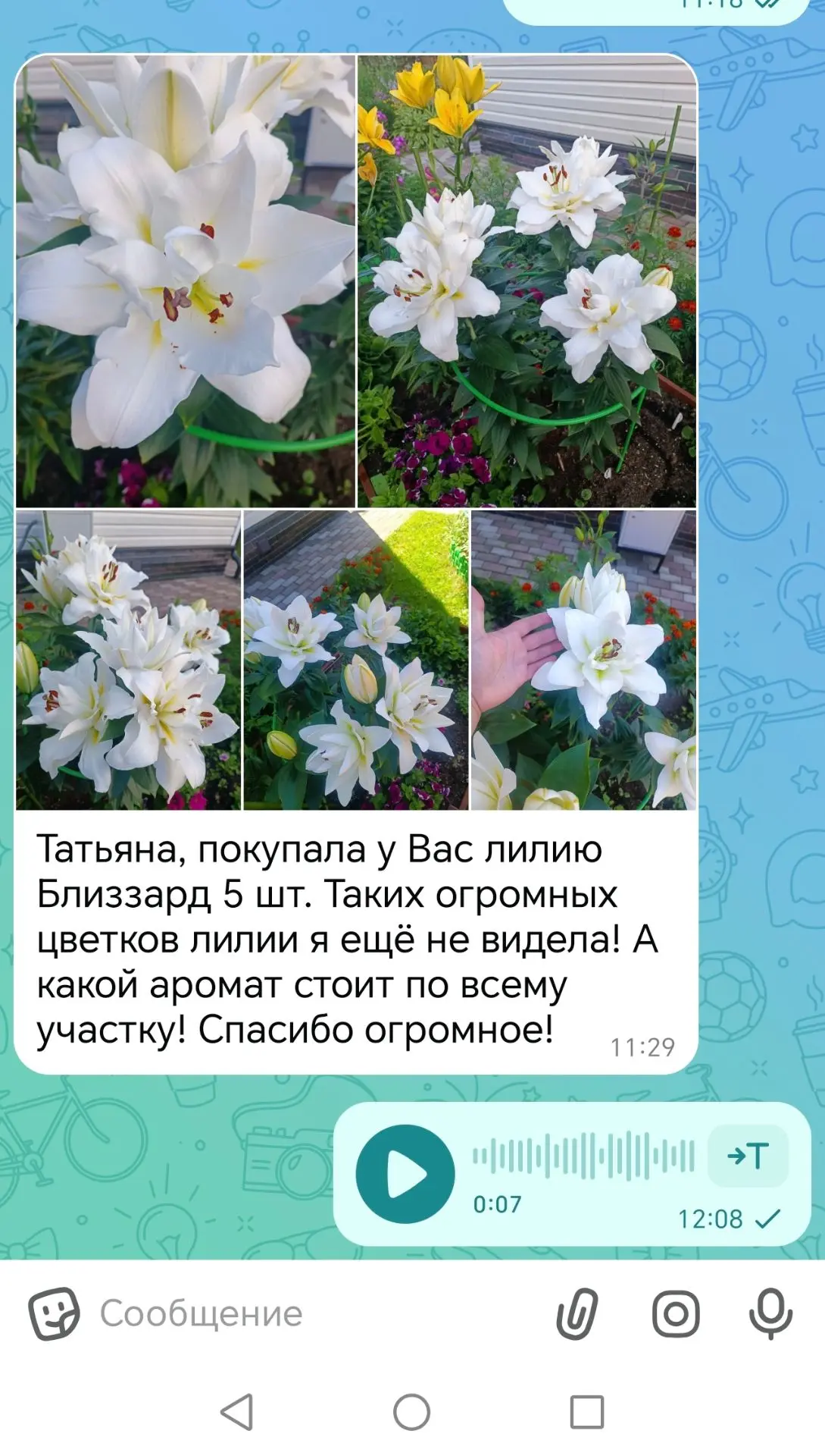 Отзыв на лилии 😍