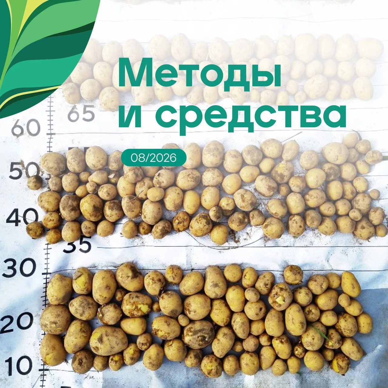 Дорогие друзья!