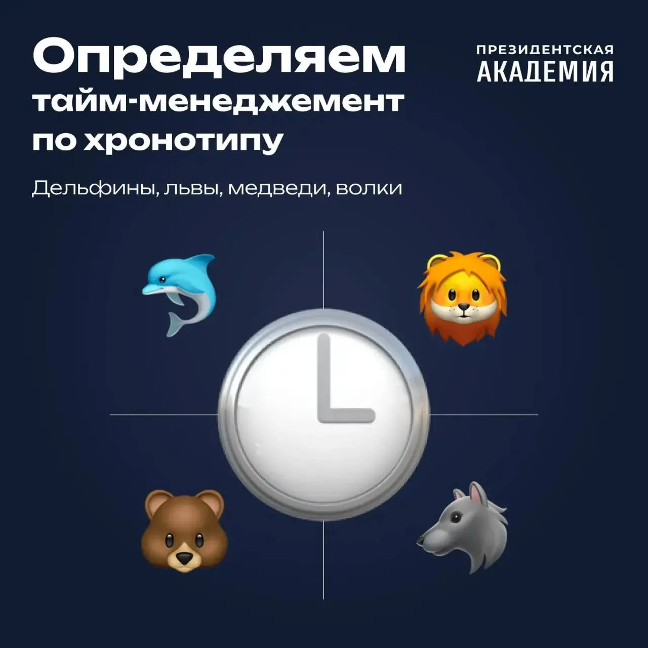 Узнай свой хронотип!