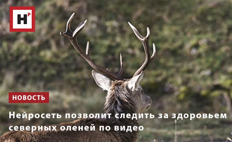 Исследователи СПб ФИЦ РАН создали автоматизированную систему, которая оценивает внешние...