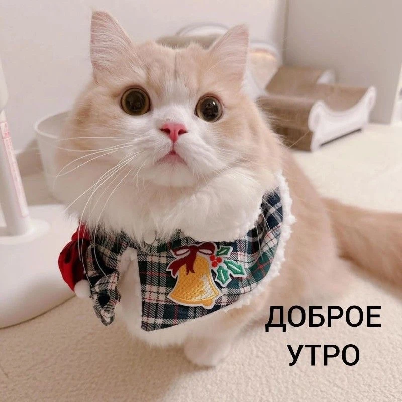 Всем доброе утро❤️