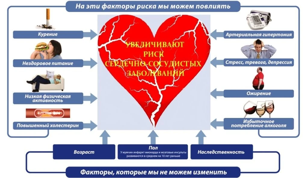 Как активный спорт защищает ваше сердце: инструкция по применению