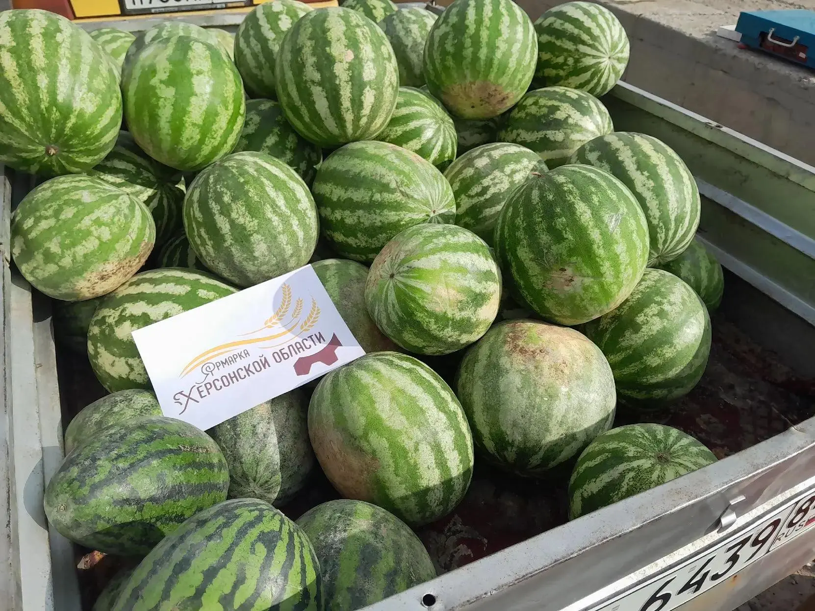 🛍️ В августе в Херсонской области провели 277 ярмарок