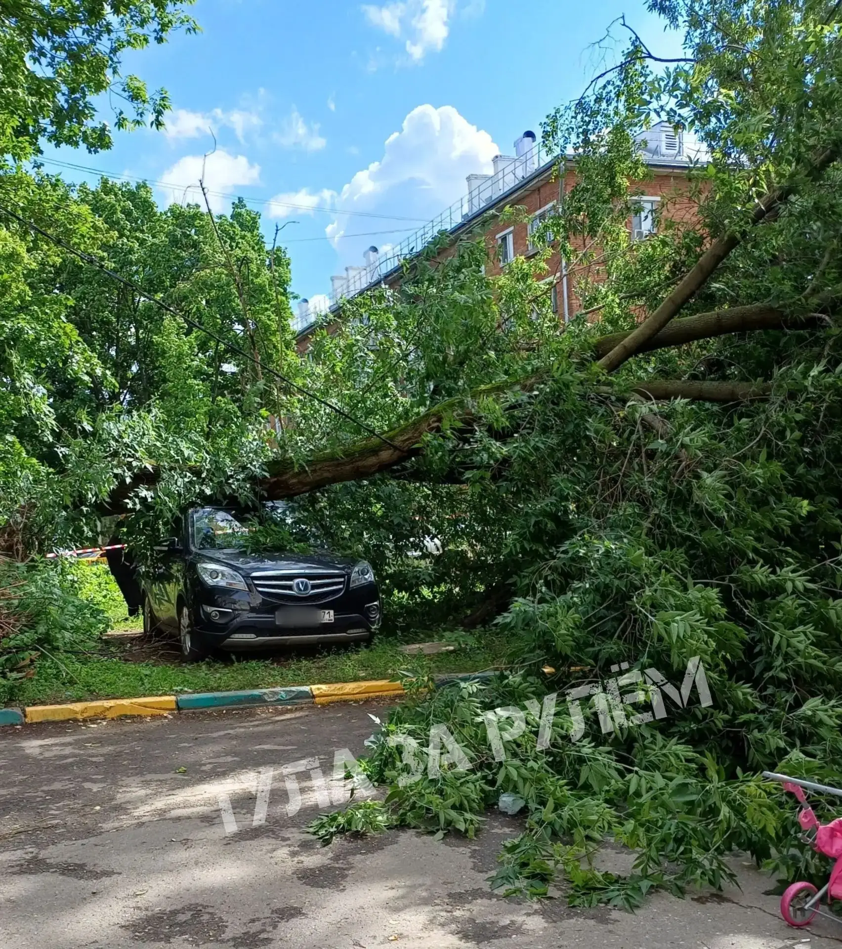 ❗️На Кутузова упало дерево, повредив легковой автомобиль