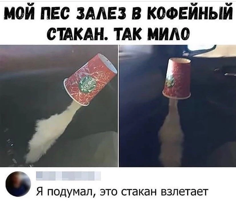 ____________________