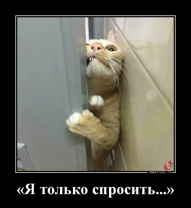 #ЖИЗАДНЯ

Боль большинства людей : «Я только спросить!» и ещё несколько фраз, которые бесят в очеред