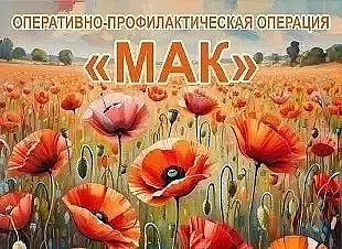 РЕГИОНАЛЬНАЯ МЕЖВЕДОМСТВЕННАЯ КОМПЛЕКСНАЯ ОПЕРАТИВНО-ПРОФИЛАКТИЧЕСКАЯ ОПЕРАЦИЯ «МАК - 2026» 
В целях