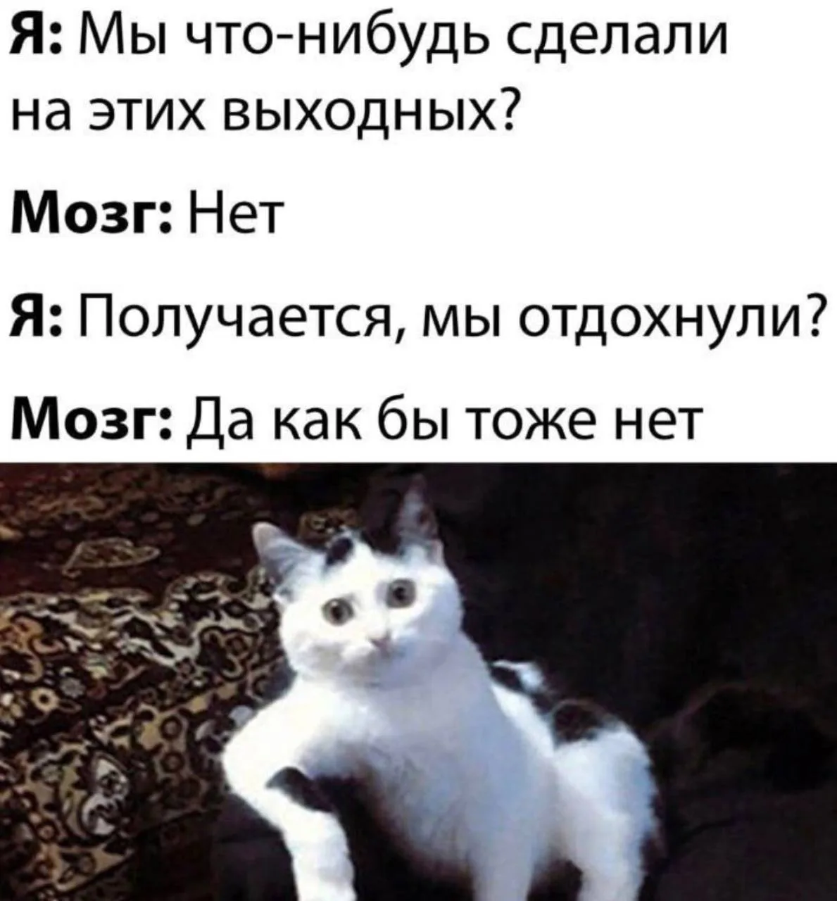 ⁣