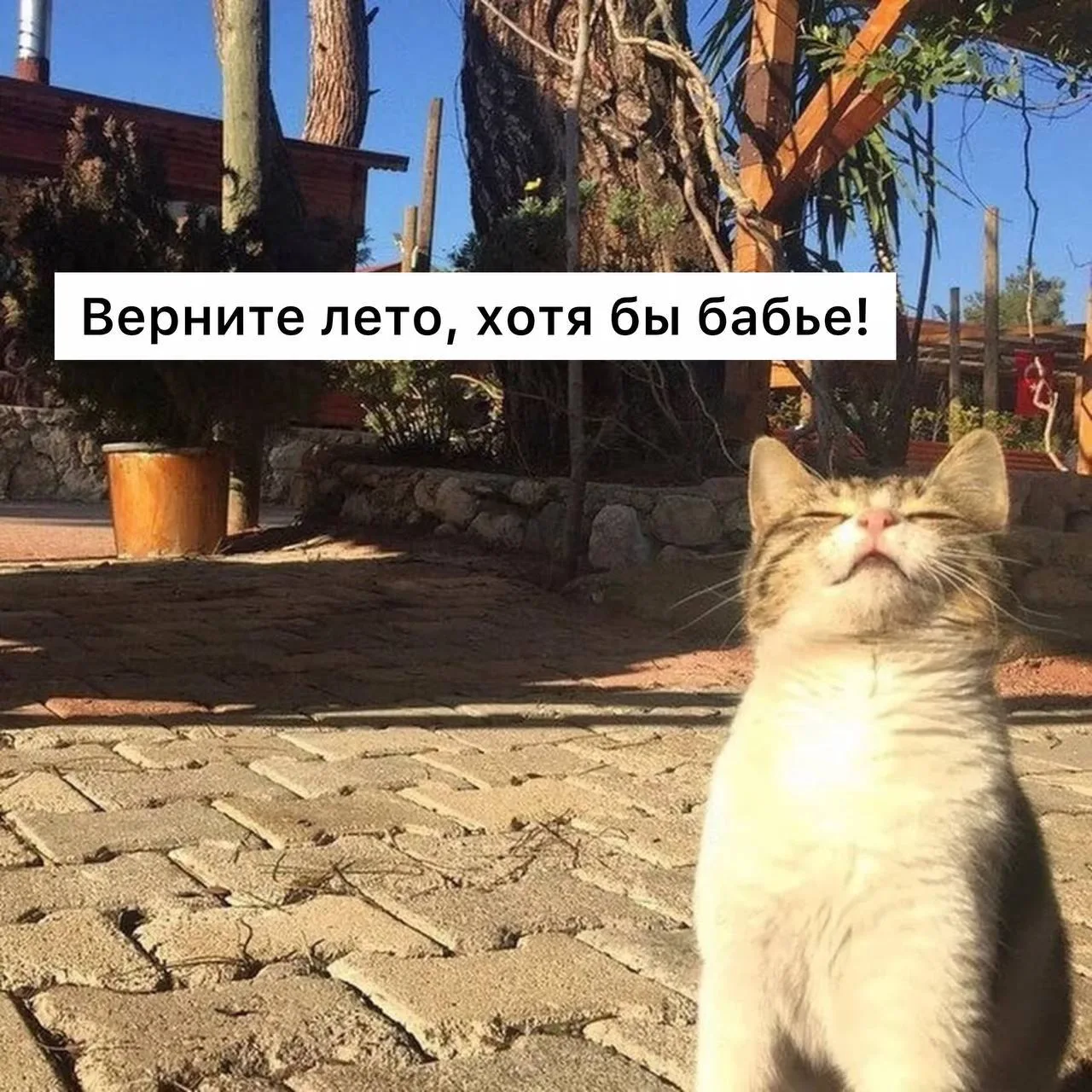 🍂 «Бабье» лето может наступить в Москве в середине сентября, — синоптики