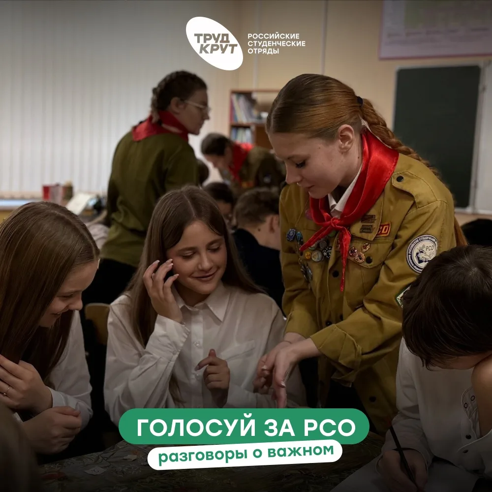 Голосуй за РСО!
