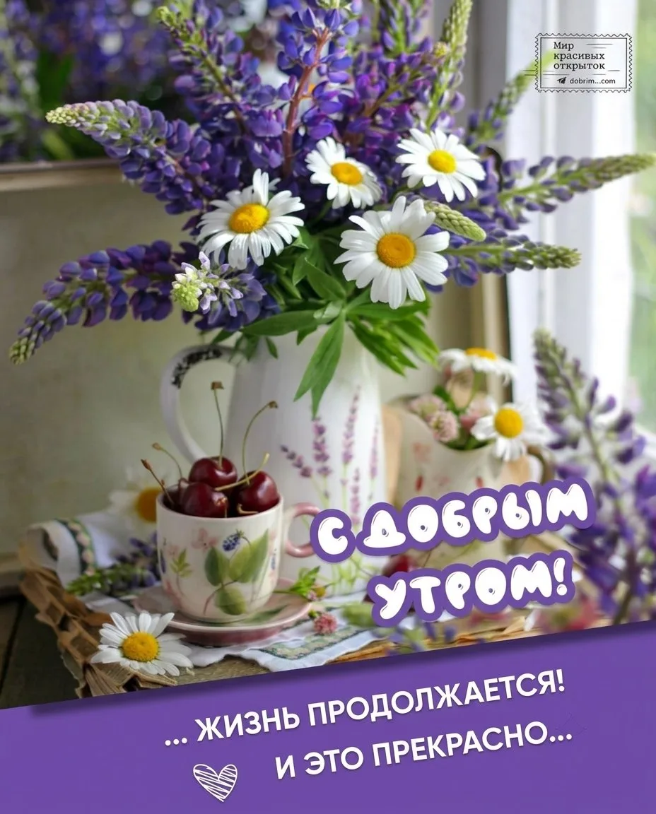 Добрые открытки 💌