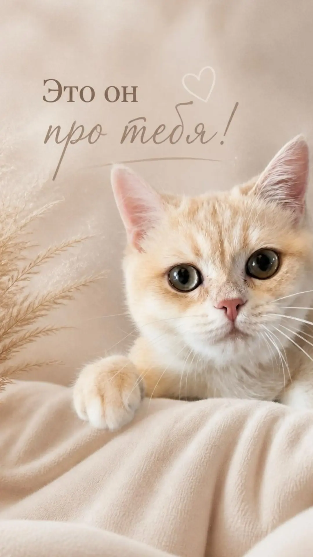 Ждём сердечки ❤️ от красавчиков и красавиц! 😉
