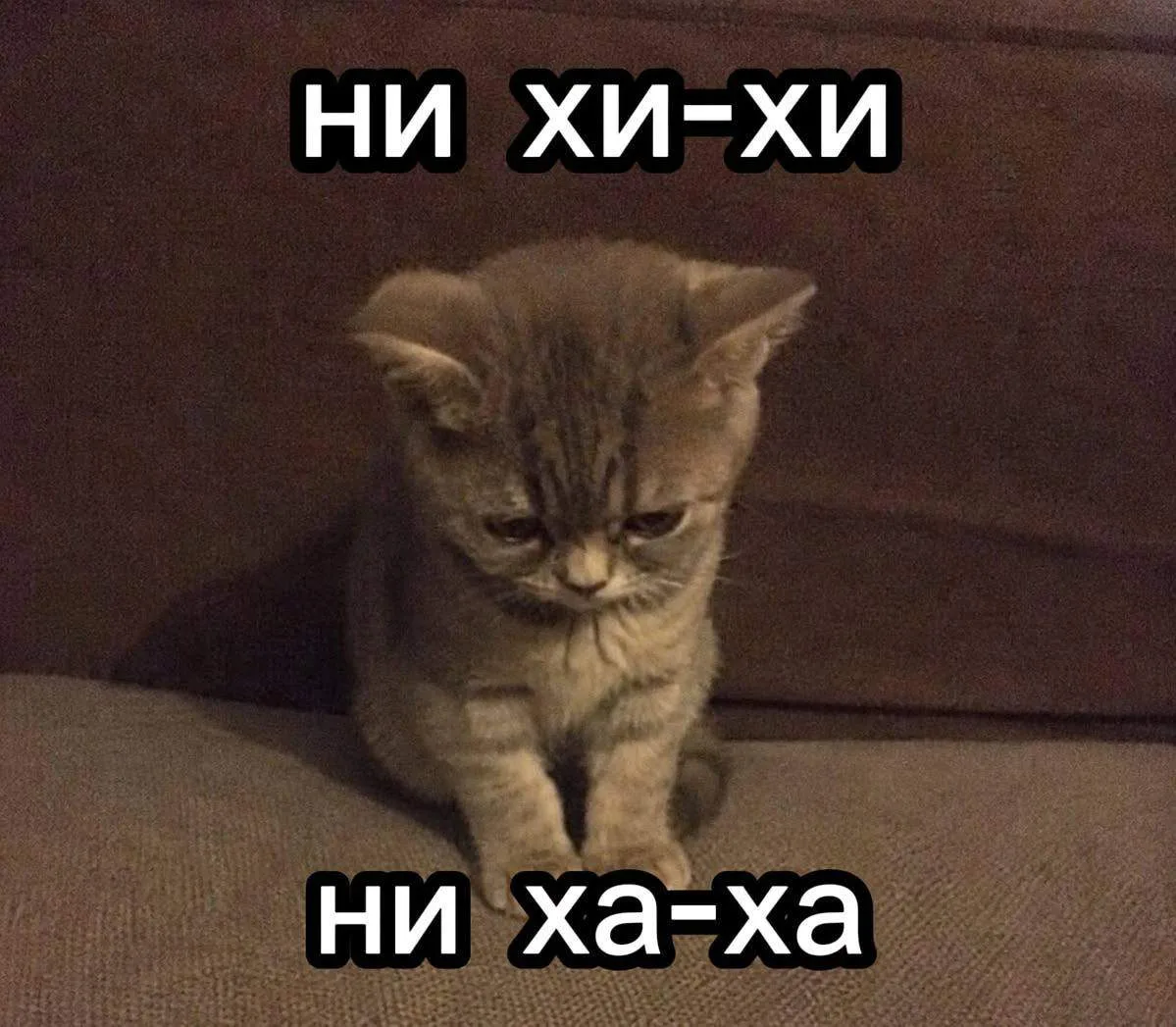 Алханай всё!