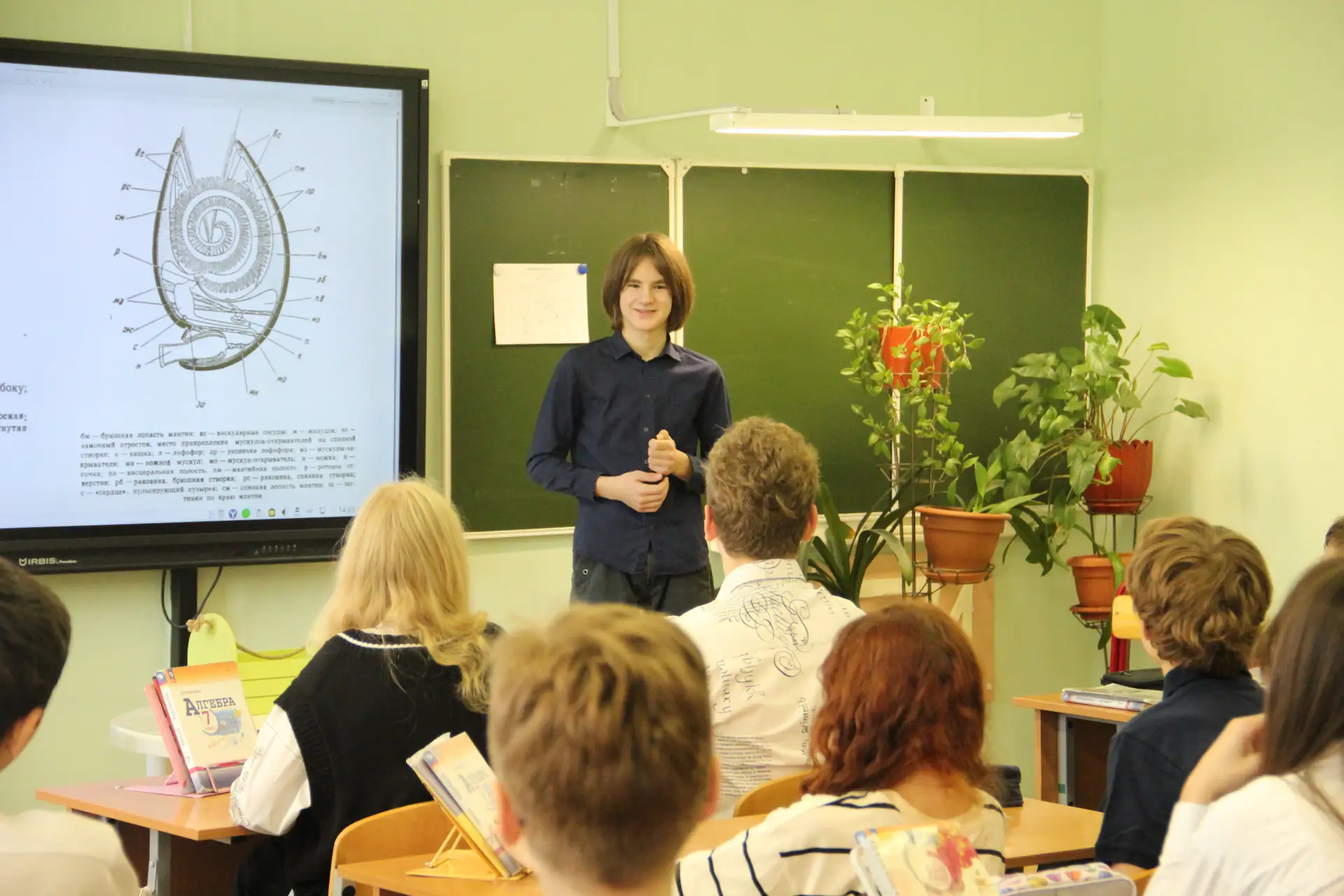 🌋 ТАЙНЫ БРАХИОПОД В ПОДМОСКОВЬЕ: УВЛЕКАТЕЛЬНОЕ ИССЛЕДОВАНИЕ НАШЕГО УЧЕНИКА!  🐚 14 мая ученики 7 «А» 