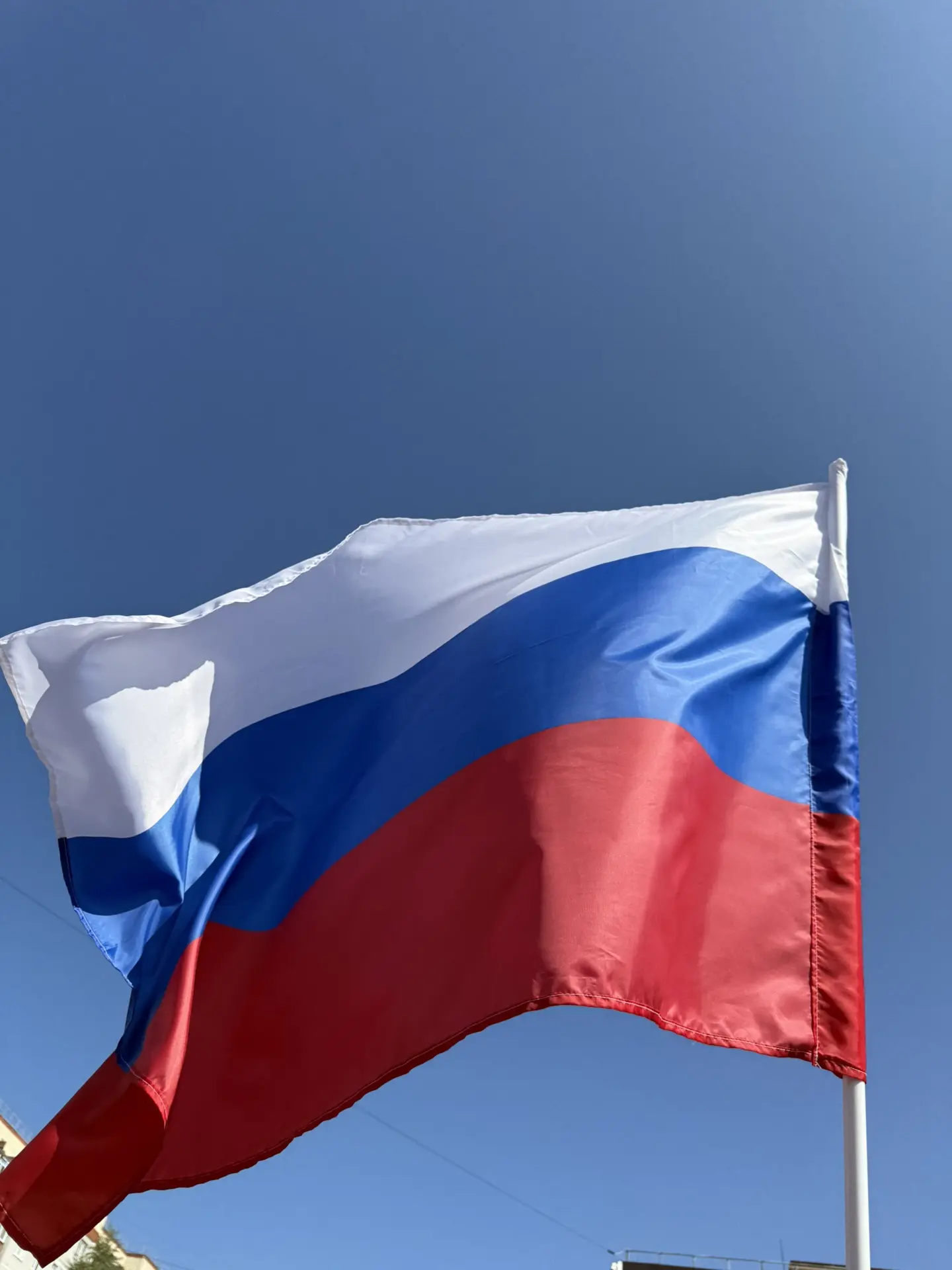 Сегодня, 22 августа, вся страна отмечает День Государственного флага Российской Федерац...