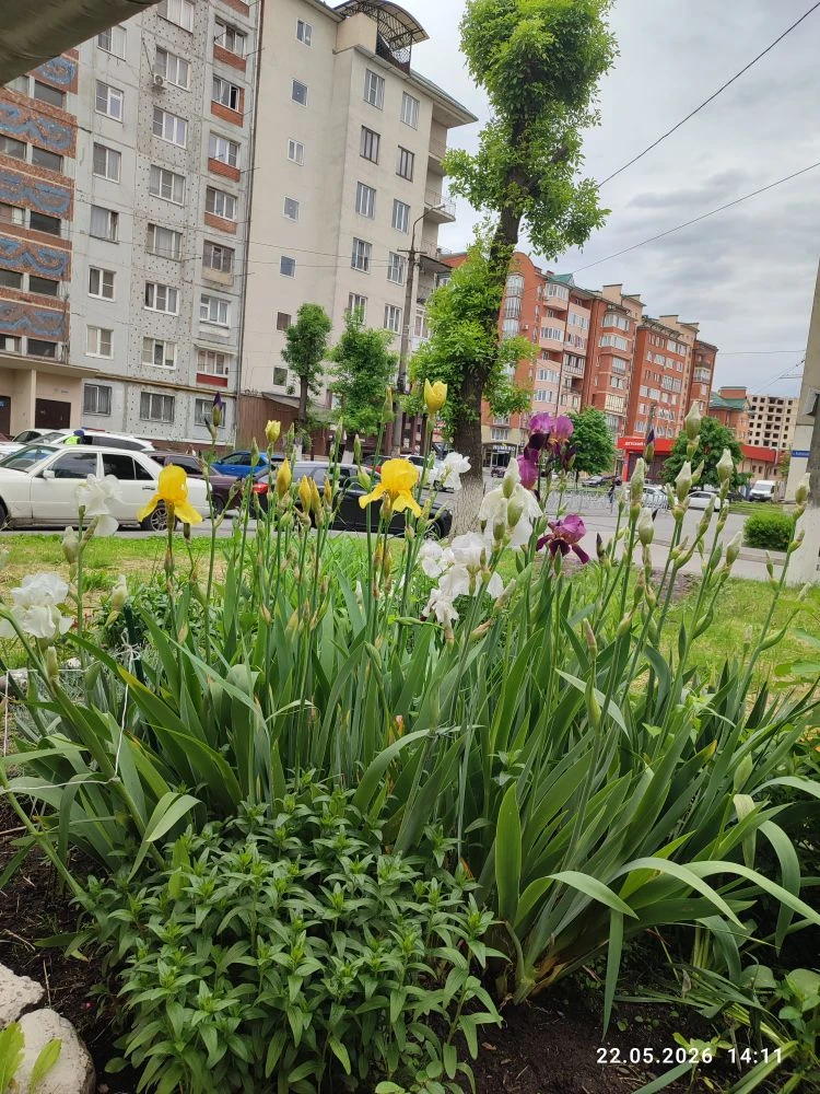 Регулировка запорной арматуры на отопление в мкд Кырджалийская 7/2