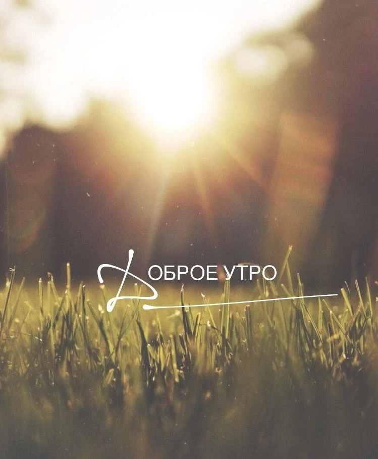 Ура! Выходные 😍☀️