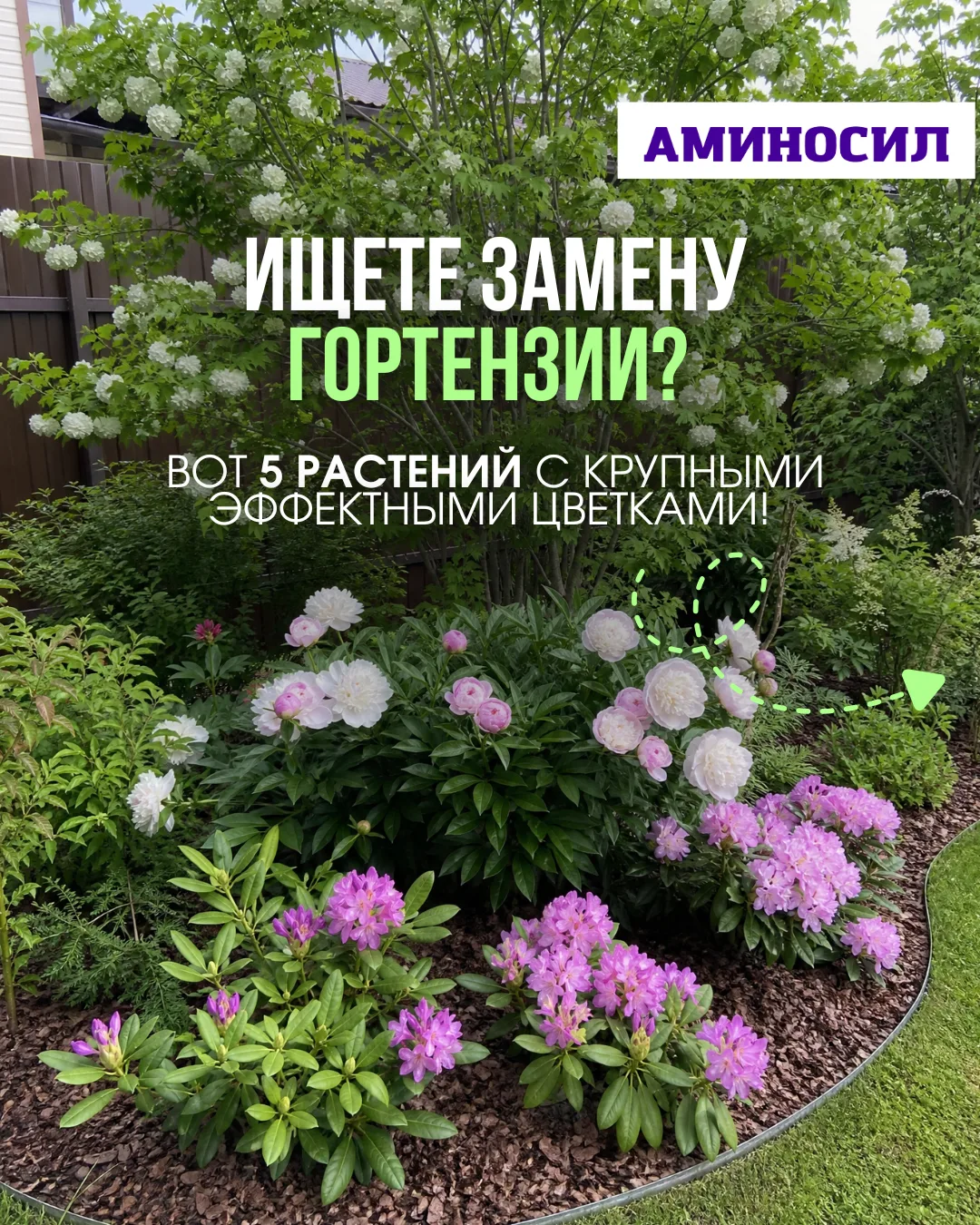 🌸 Ищете замену гортензии? Вот 5 растений с крупными эффектными цветками! 🌸

Если хочется добавить 