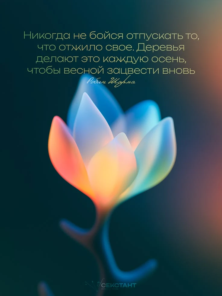 https://max.ru/invista123456