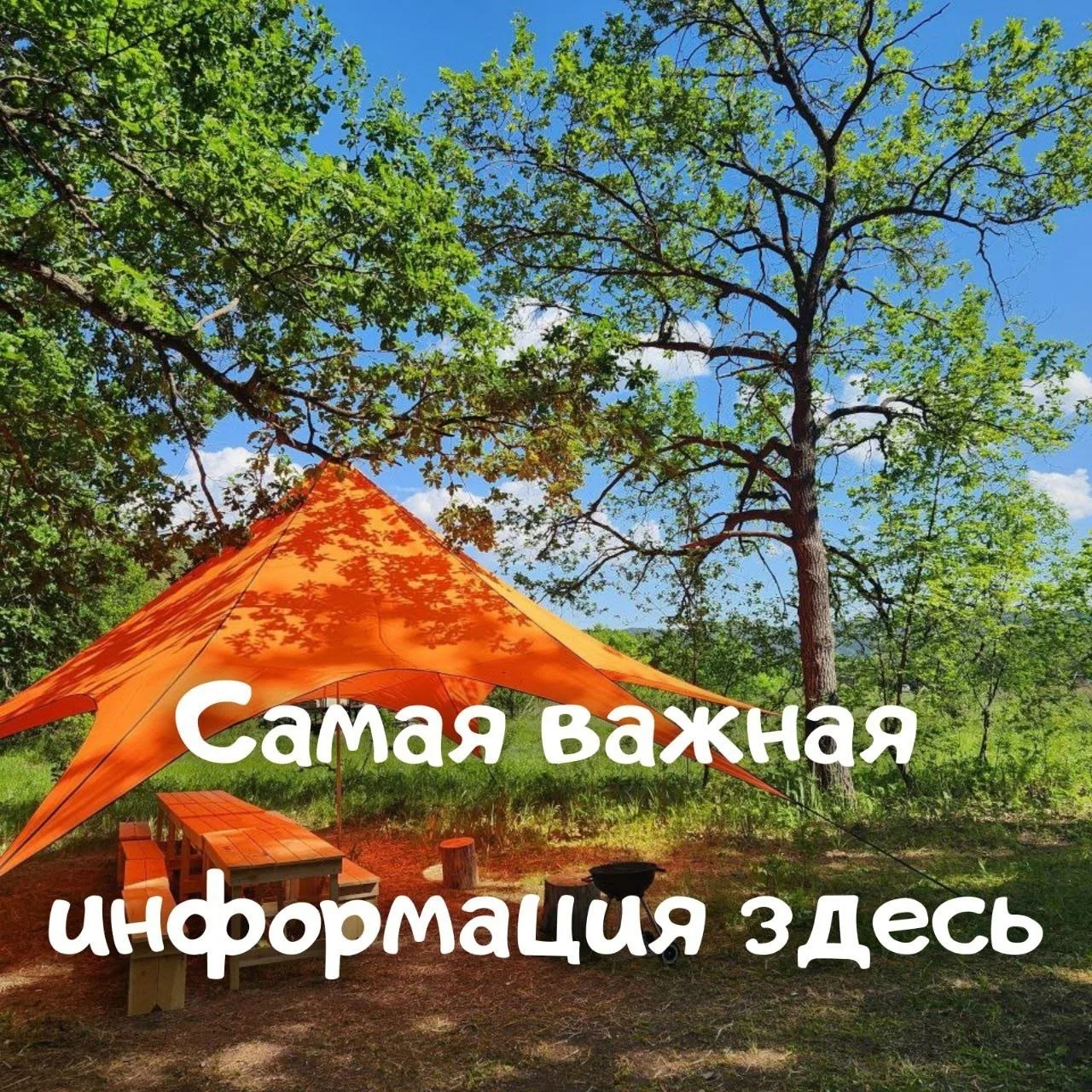 Всего 2 дня осталось до семейного фестиваля "Посмотри вокруг 2026". Здесь собрали всю с...