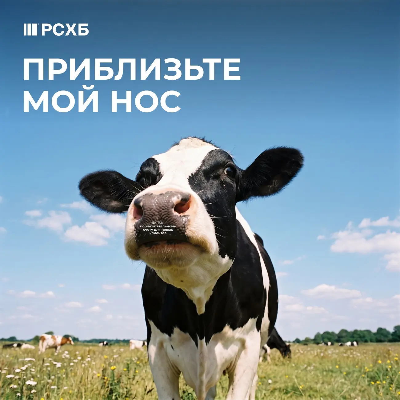🐮 Главное послание уже на экране

Осталось сделать клик

РСХБ в VK