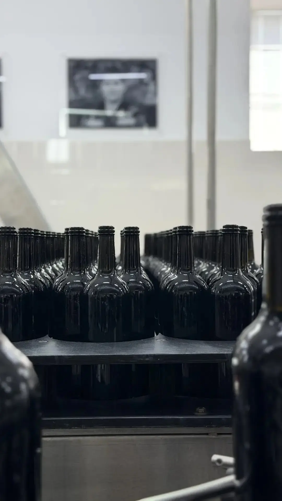🍷Розлив «МОДЕ» Мерло Каберне Совиньон.