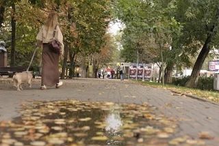 🍂Синоптик рассказал, какой будет погода в первой половине октября в Ростовской области