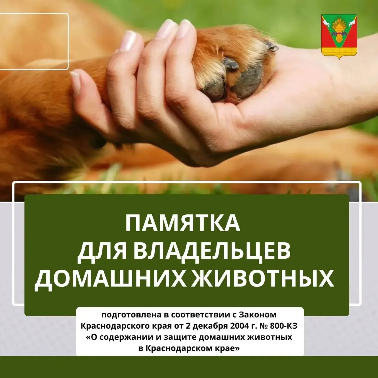 Важная информация для владельцев домашних животных! 

🐕Хотите, чтобы прогулки с вашим питомцем были