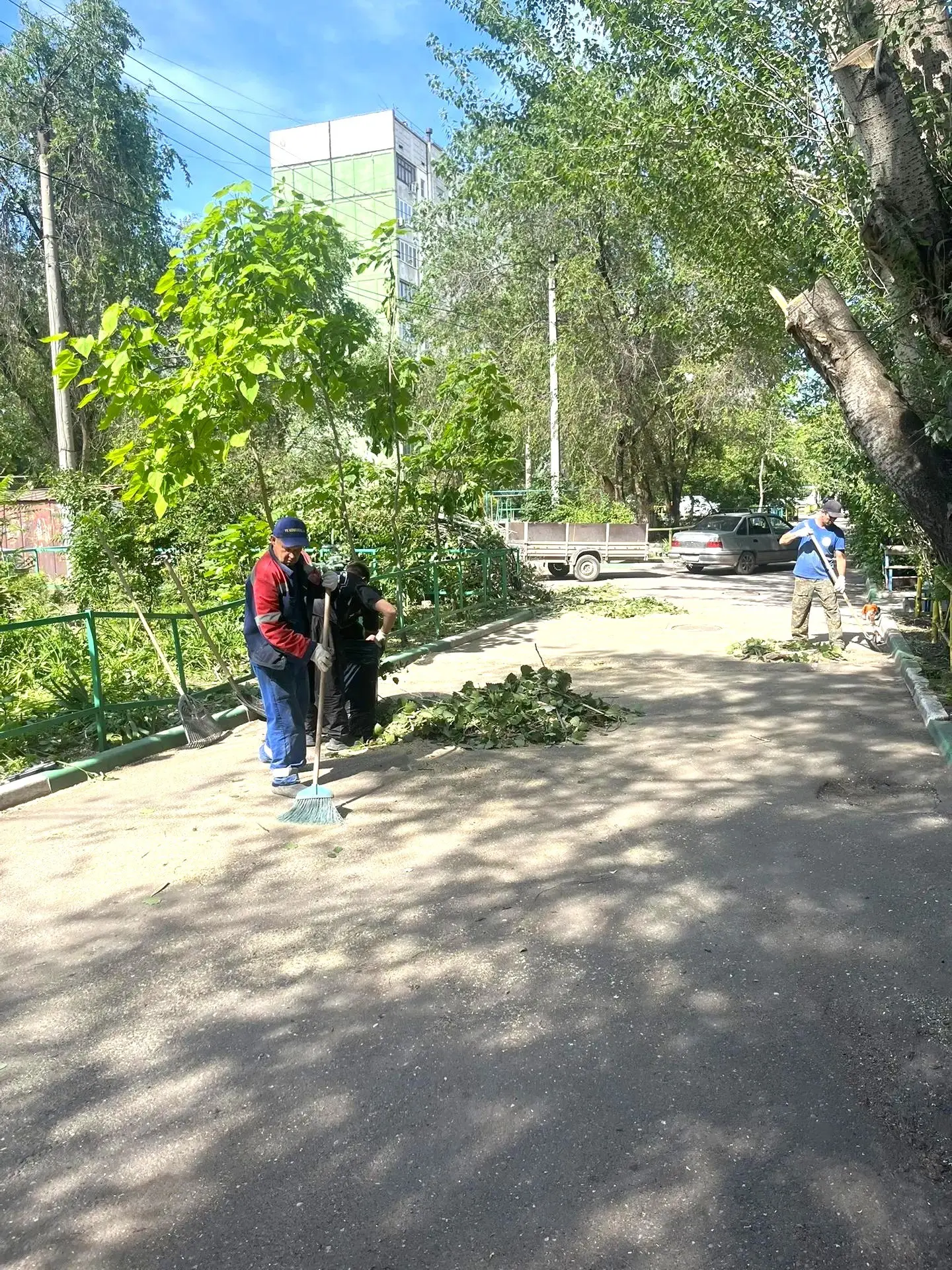 К новости «🌳 Комплексный подход: от опиловки до идеальной чистоты!»