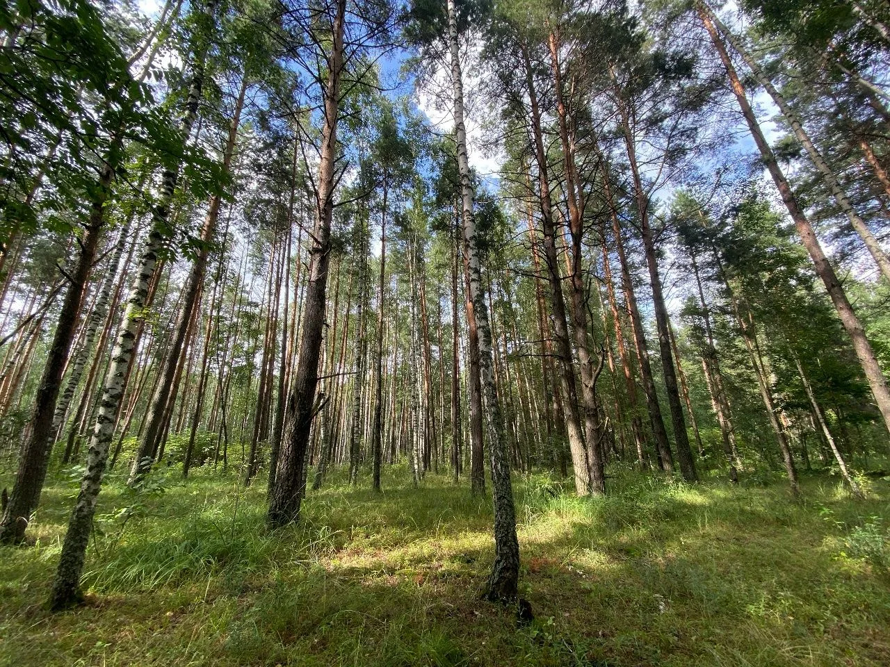 🍀🍄🍁До свидания, лето!