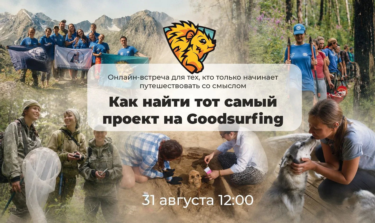 Кажется, мы кое-что задолжали новым гудсёрферам!