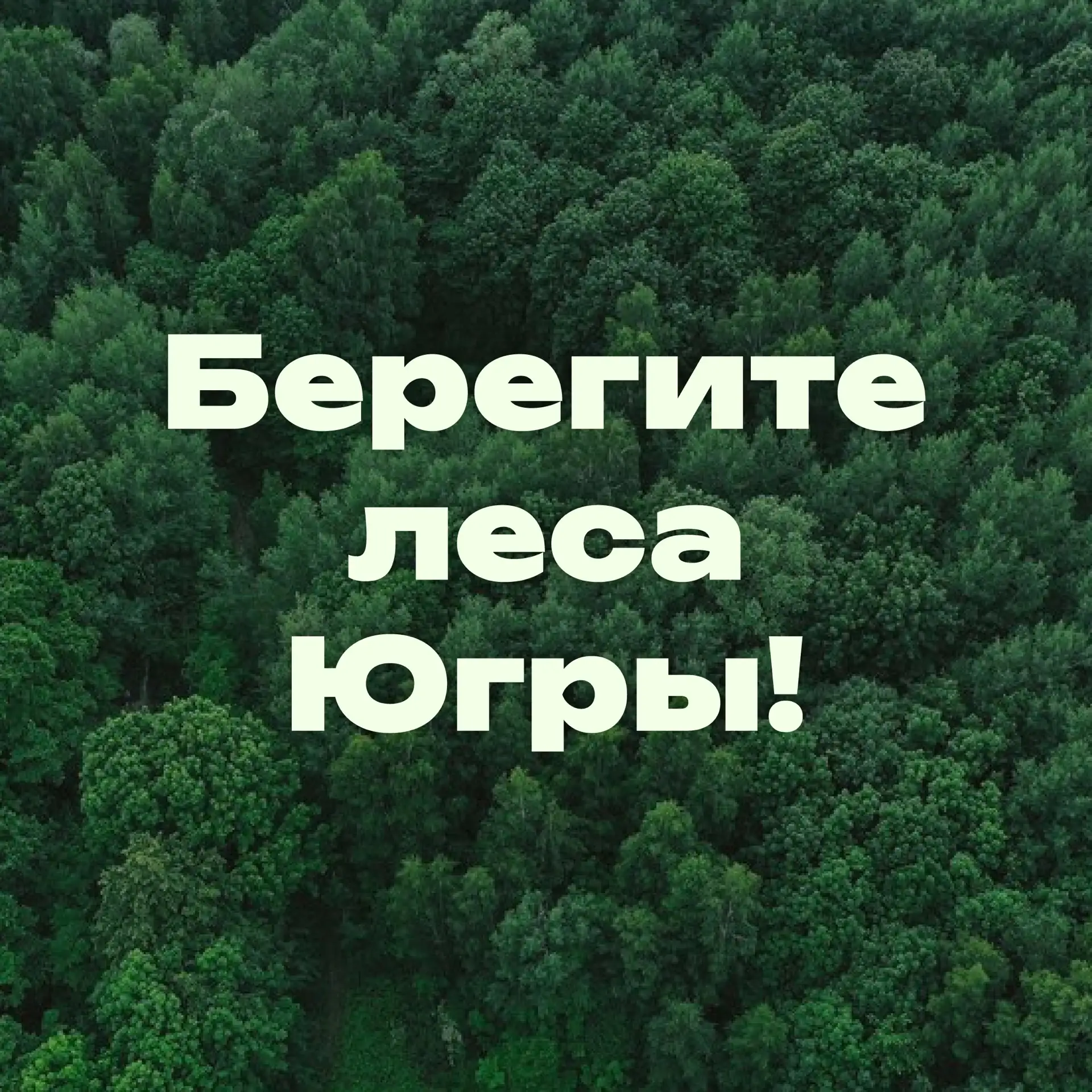 Лето – прекрасное время для отдыха на природе, но вместе с ним приходит и большая ответственность. С