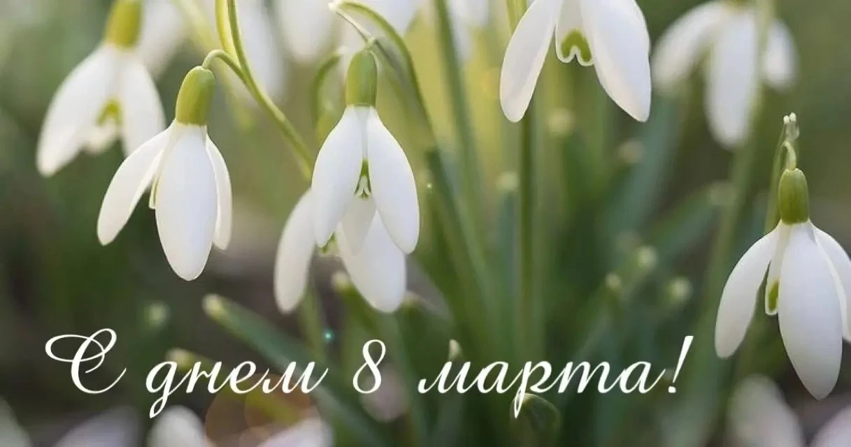 Дорогие дамы!

Сердечно поздравляю вас с 8 Марта!
Этот день символизирует начало весны, пробуждение 