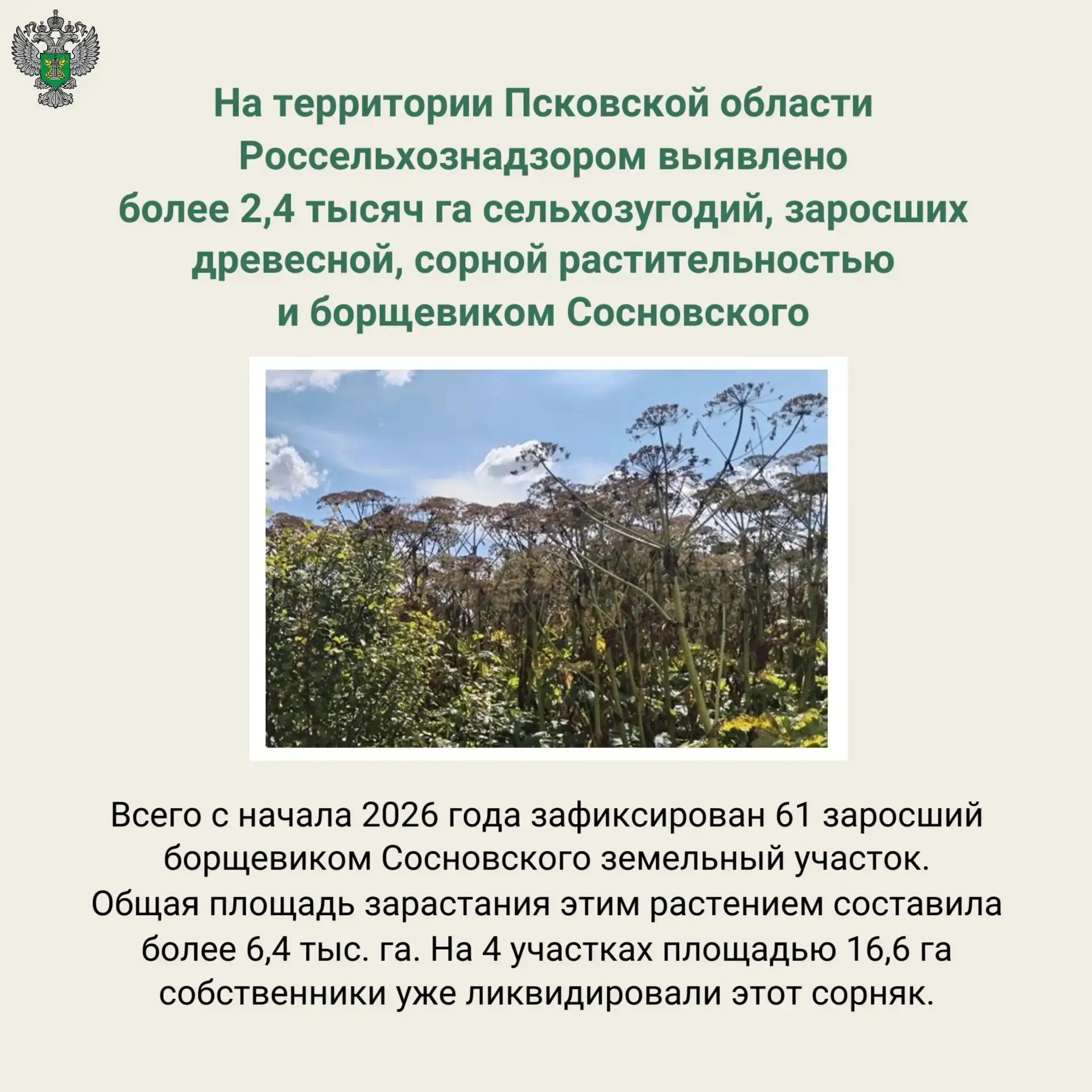 🔗 Подробнее на сайте