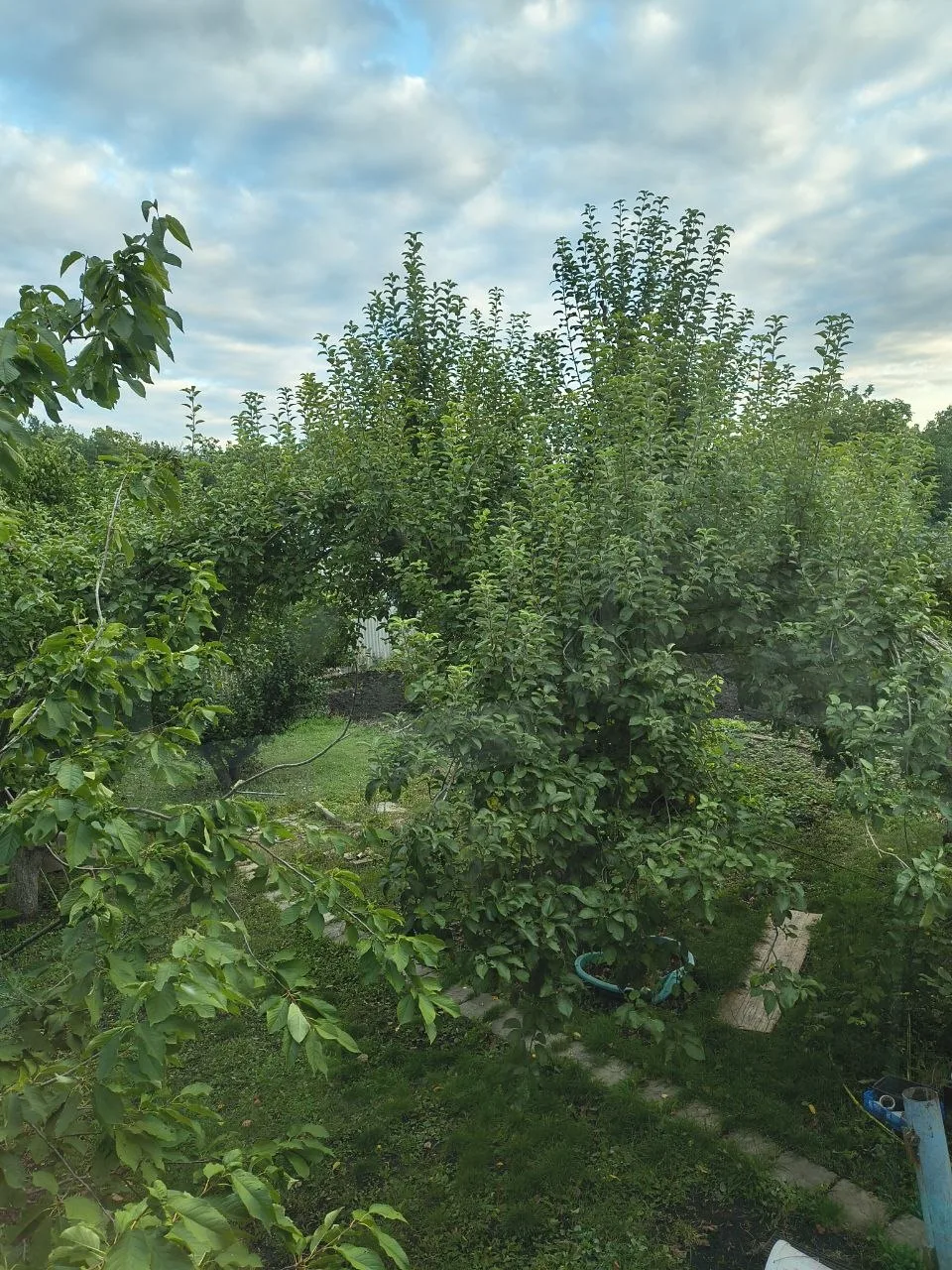 Никак не научусь пользоваться андройдом 😅