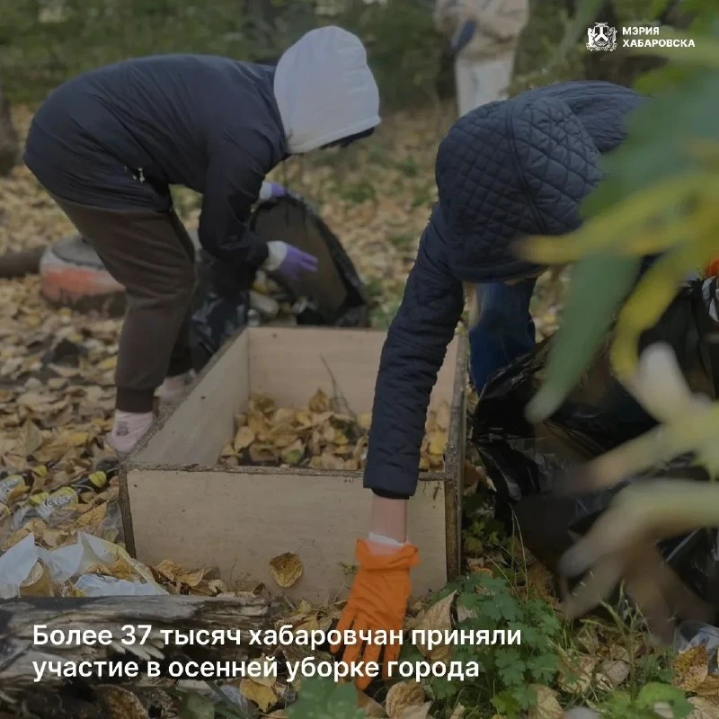 🍂 В Хабаровске подвели итоги месячника по уборке и благоустройству