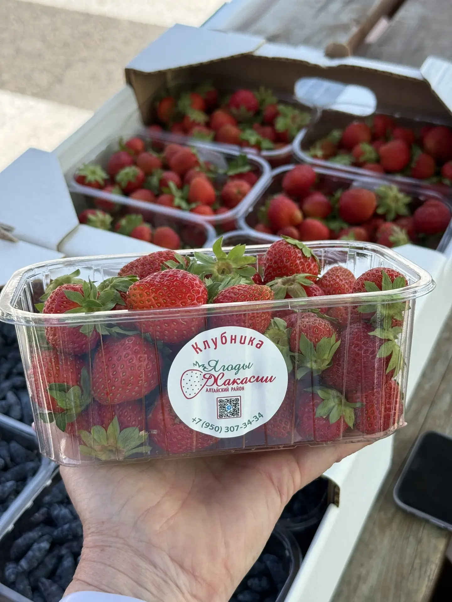 Также, отличные новости для Минусинска 😍