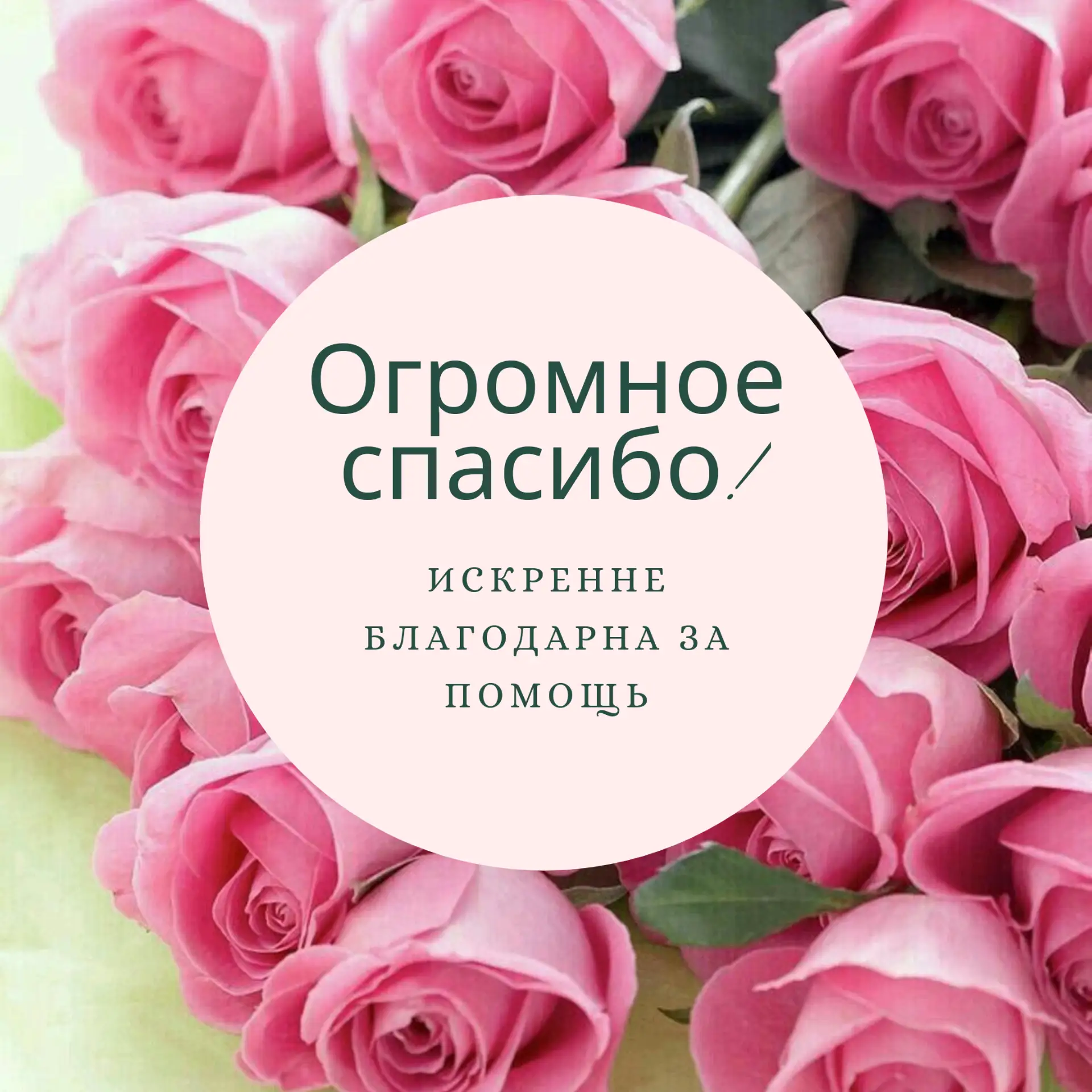 От всей души выражаем вам искреннюю благодарность за вашу неоценимую помощь и поддержку в сборе дене