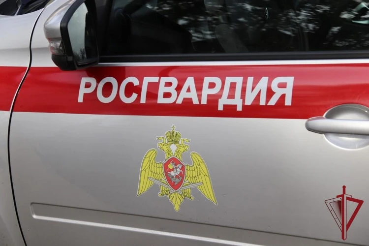 В Краснокаменске росгвардейцы задержали мужчину, находящегося в федеральном розыске  В городе Красно