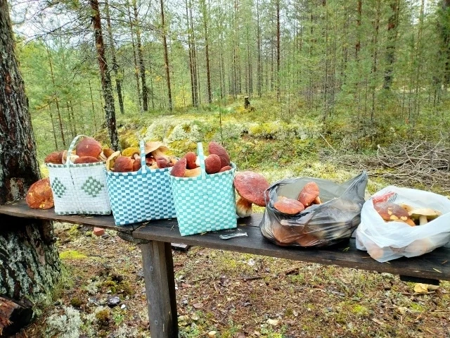 Привет Череповцу из Тарногского района.