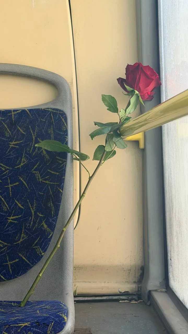 Романтика, так мало нужно что бы улыбнутся😊